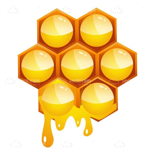 Dripping Honeycomb